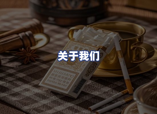 专业团队